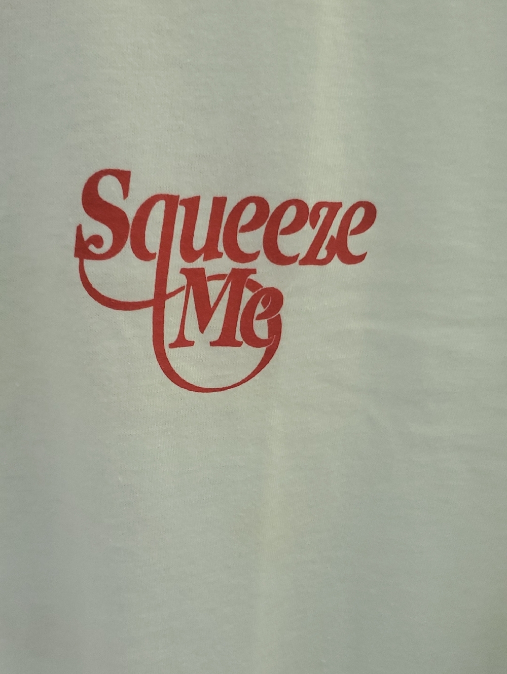 Vintage Hanes Beefy Main Squeeze Juices T Shirt Size Large Squeeze Me - Picture 4 of 8